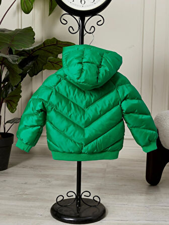 Erkek Bebek Kapüşonlu Kışlık Mont 51332