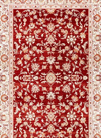 Dinarsu Halı Asya Koleksiyonu 30003 010 Kırmızı