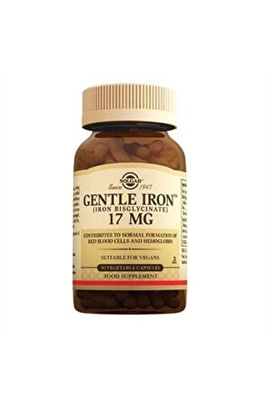 Gentle Iron 17 Mg 90 Kapsül