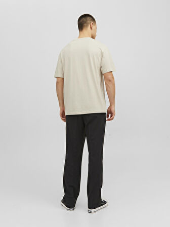 JORVESTERBRO TEE SS CREW NECK NOOS Moonbeam