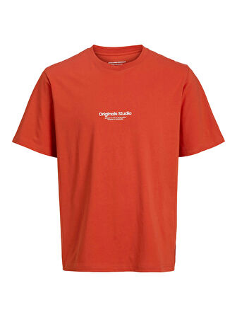 JORVESTERBRO TEE SS CREW NECK NOOS Summer