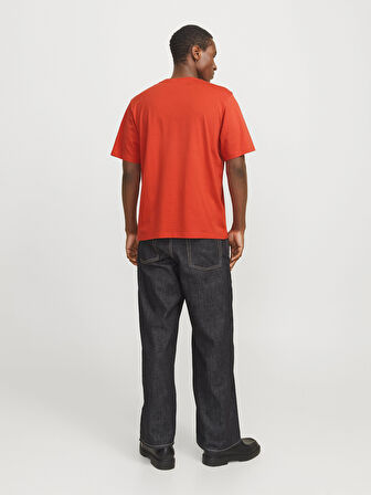 JORVESTERBRO TEE SS CREW NECK NOOS Summer