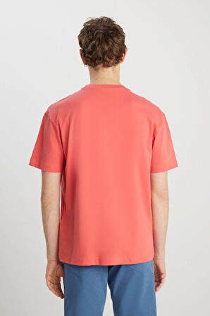 Bisiklet Yaka T-shirt Burnt Sienna