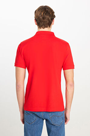 Erkek Regular Fit Polo T-shirt Coral