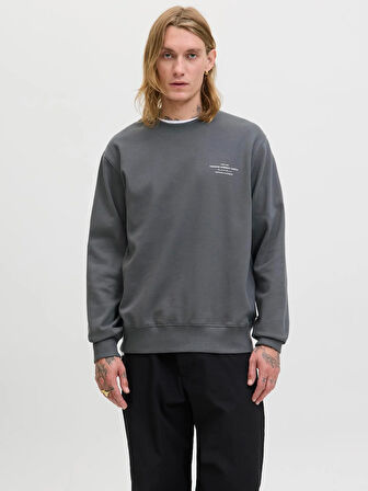 JPRBLACHAD BRANDING SWEAT CREW NECK LN Volcanic Ash