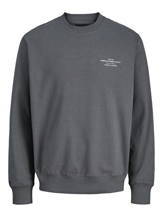 JPRBLACHAD BRANDING SWEAT CREW NECK LN Volcanic Ash