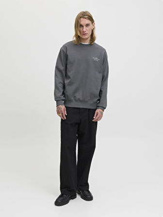 JPRBLACHAD BRANDING SWEAT CREW NECK LN Volcanic Ash