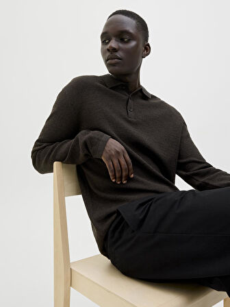 JJEGEORGE KNIT POLO LS SN Delicioso