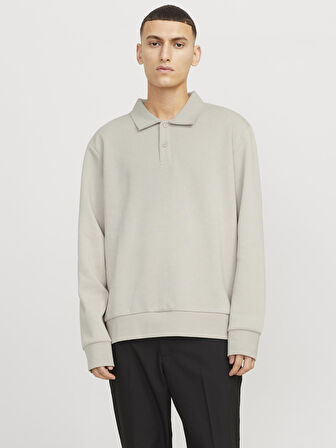 JJEBRADLEY SWEAT POLO NOOS Moonbeam