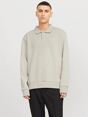 JJEBRADLEY SWEAT POLO NOOS Moonbeam
