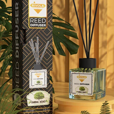 Rivola Bambu Sandal Ağacı Oda Kokusu
