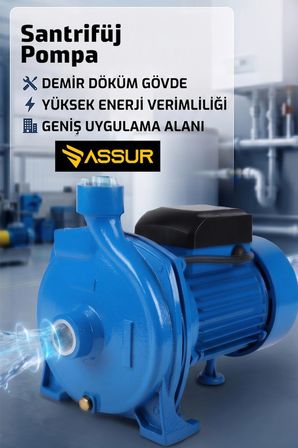 29m Basınç Yüksekliği 1 Hp Bakır Sargı Elektrikli Santrifüj Pompa Su Motoru