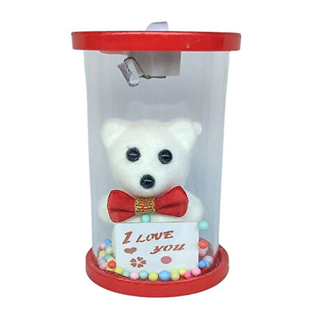 Cam Fanus Işıklı I Love You Ayıcık Kırmızı