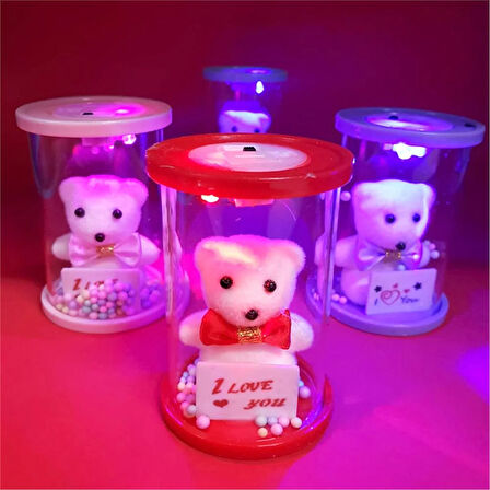 Cam Fanus Işıklı I Love You Ayıcık Kırmızı