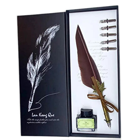 Divid Kalem Tüylü 5 Adet Uçlu