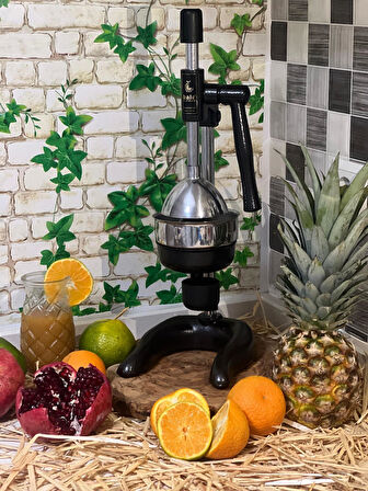 1706 MEYVE PRESİ (INDUSTRIAL TYPE FRUIT PRESS)
