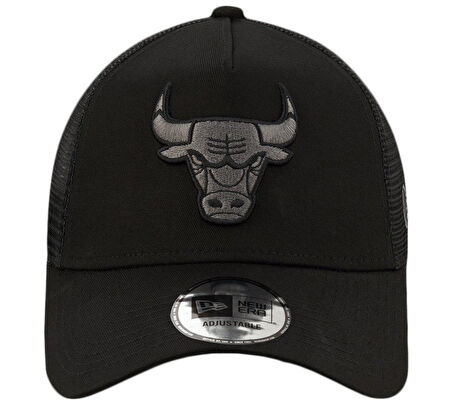 Chicago Bulls 12523913