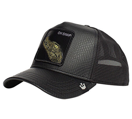 Deaping lizards101-0825