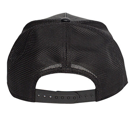 Deaping lizards101-0825