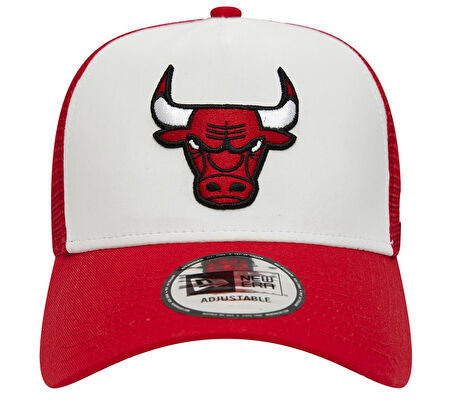 Chicago Bulls 60348855