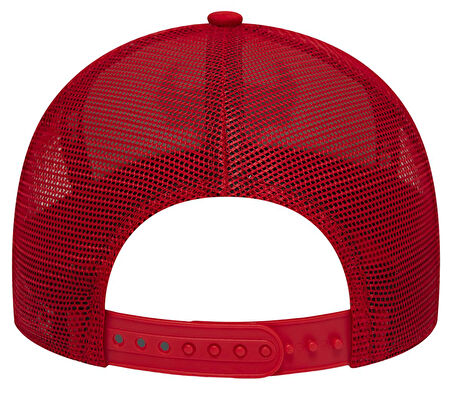 Chicago Bulls 60348855