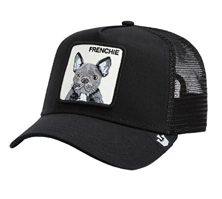 The French Bulld 101-1668