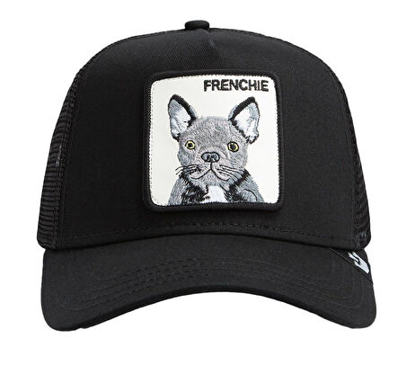 The French Bulld 101-1668