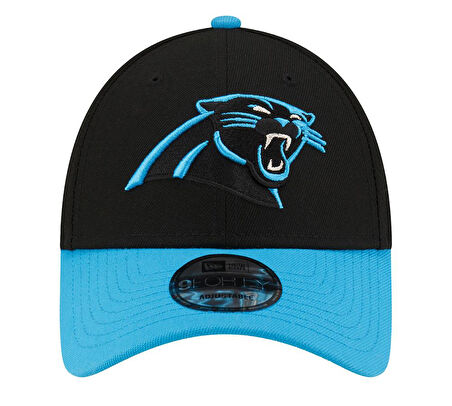 Panthers NFL 60566037