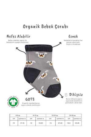 Bistyle Organik Bebek Çocuk Dikişsiz 2li Love Dog Penye Soket Çorap