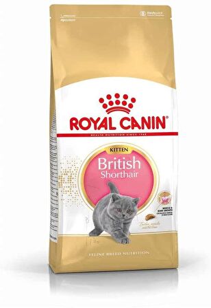 Royal Canin British Shorthair Kitten Yavru Irk Kedi Maması 2 Kg