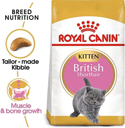 Royal Canin British Shorthair Kitten Yavru Irk Kedi Maması 2 Kg