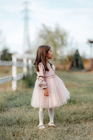 Rosa Kadife Kabarık Tüllü Kız Çocuk Elbise Pembe