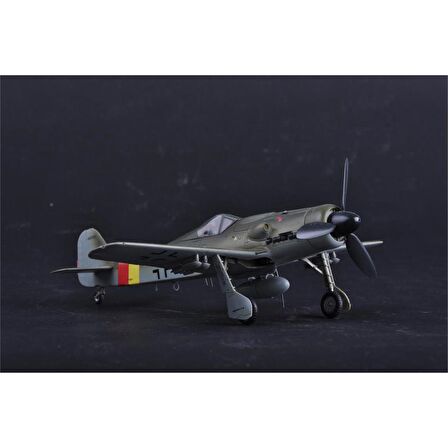 HobbyBoss 81716 1/48 Ölçek Focke-Wulf FW190D-9,, Savaş Uçağı Plastik Model Kiti