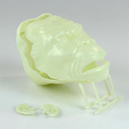 725R GLO-HEAD - APE-MAN