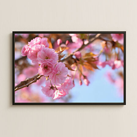 Pembe Sakura Çiçekleri ve Bahar Dalları Temalı Retro Poster Tablo