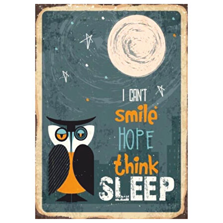 I Can't Sleep Temalı Baykuşlu Retro Ahşap Tablo - Uykusuzluk ve Ruh Hali Posteri