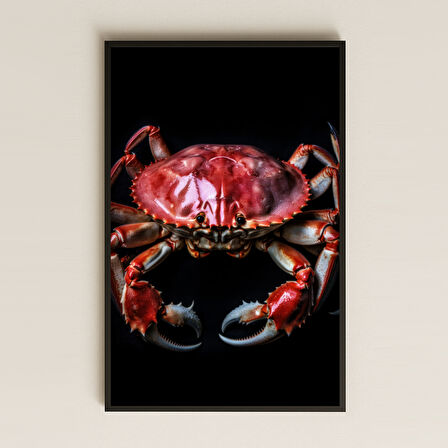 Kırmızı Yengeç Tasarımlı Hiperrealist Şeffaf Pleksi Tablo