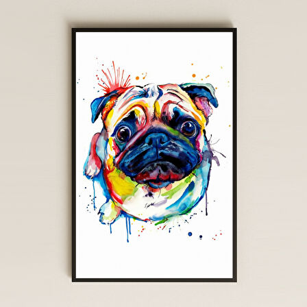 Renkli Pug Portresi Suluboya Stil Şeffaf Pleksi Tablo