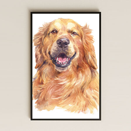 Golden Retriever Suluboya Tasarım Pleksi Tablo