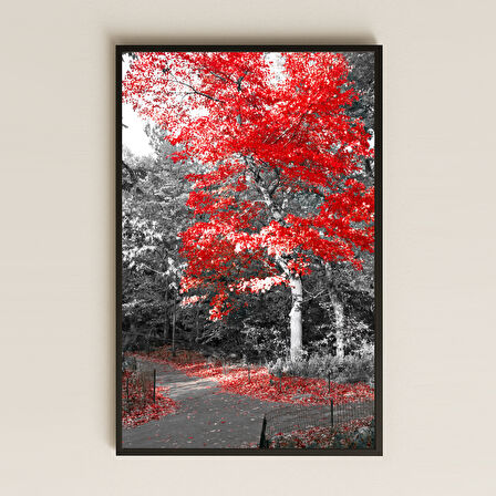 Kırmızı Yapraklı Ağaç Temalı Şeffaf Pleksi Tablo