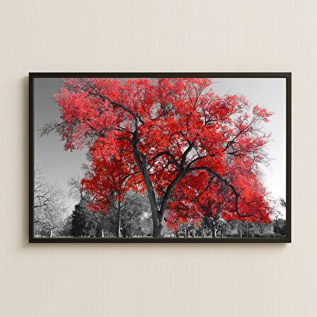 Kırmızı Yapraklı Ağaç Temalı Şeffaf Pleksi Tablo