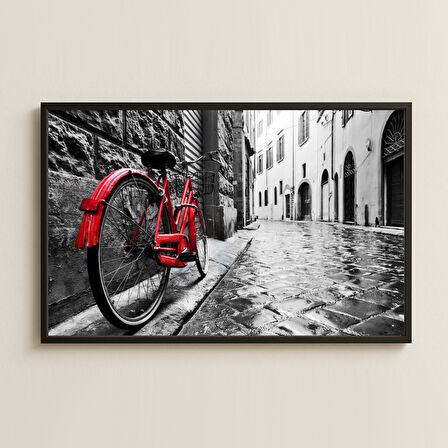 Avrupa Sokaklarında Kırmızı Bisiklet Temalı Pleksi Tablo