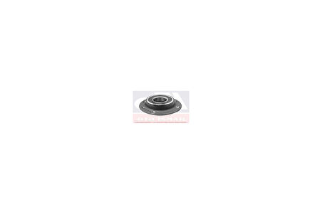 ARKA TEKER PORYASI RULMANLI TEMPRA-DOBLO-PALIO-ALBEA-MAREA ABS SİZ 4 BİJON 30x117x61.7