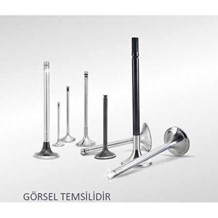 SUBAP EMME EGZOZ TAKIM STD TRANSIT V.362-V.363 2.0 ECOBLUE 17 2.0 PANTER