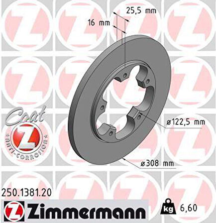 ARKA FREN DISKI TRANSIT V363 14 TEK TEKER A.CEKER DUZ 308MM 5 BIJON