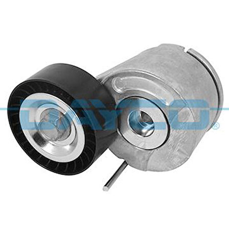 ALTERNATÖR GERGİ RULMANI KÜTÜKLÜ DOBLO-FIORINO-LINEA-NEMO-BIPPER-COMBO 1.3 DMultijet 10