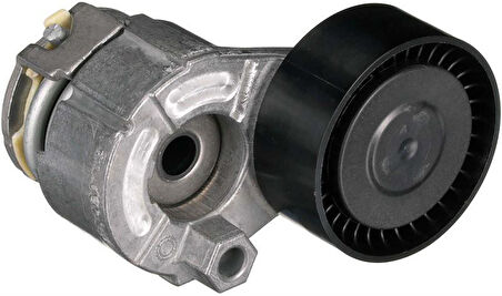 ALTERNATÖR GERGİ RULMANI KÜTÜKLÜ CLIO II-III-IV MEGANE II-III SYMBOL I-II KANGOO-II LAGUNA III 07 15 FLUENCE 09 DUSTER 10 QASHQAI 06 13 1.4 16V K4J 1.5dCi K9K 1.6 16V K4M