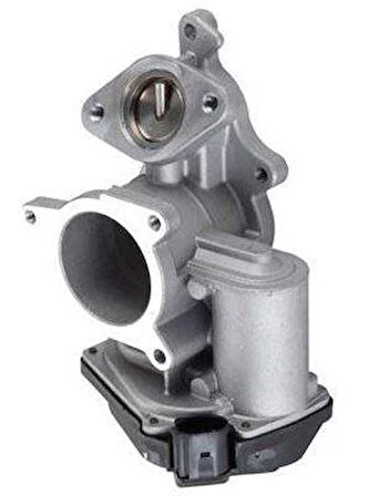 EGR VALFI A4 A6 2.0TDI BLB-BNA-BRE-BRD-BRF-BVF-BVA-BVG 05 08