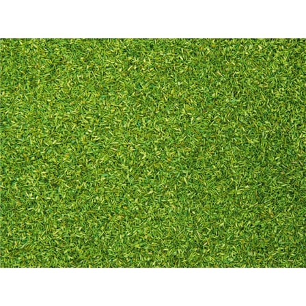 Noch 8411 Açık Yeşil Çayır Dokusu, 150 Gram, Diorama Malzemesi