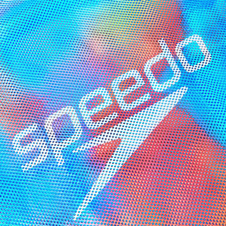 Speedo Baskılı File Çanta
